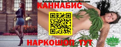 прущие грибы Будённовск