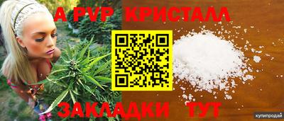 прущие грибы Будённовск