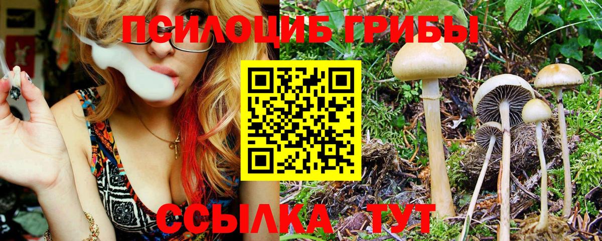Галлюциногенные грибы GOLDEN TEACHER  сколько стоит  Салават  Вход с VPN 