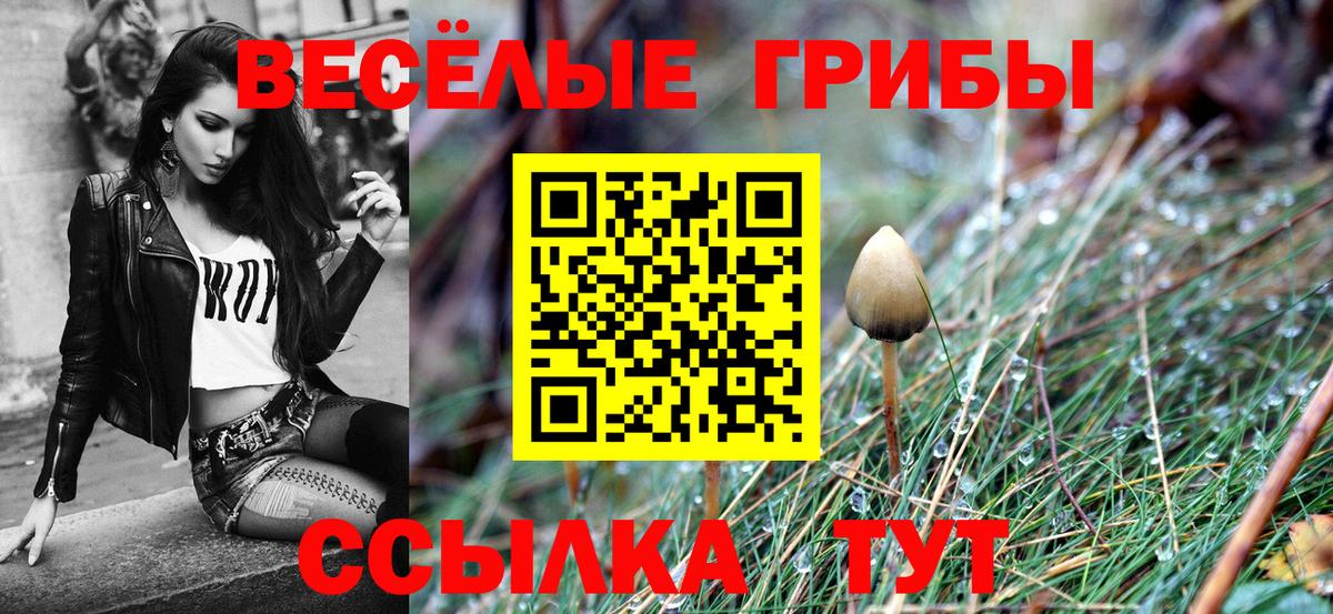 Галлюциногенные грибы GOLDEN TEACHER Салават